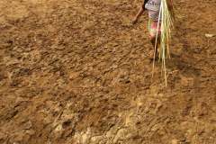 WhatsApp-Image-2026-02-23-at-10.24.59-PM-5