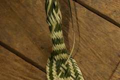 WhatsApp-Image-2026-02-23-at-10.25.00-PM-1