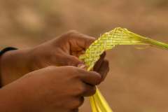 WhatsApp-Image-2026-02-23-at-10.25.00-PM