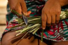 WhatsApp-Image-2026-02-23-at-10.25.01-PM