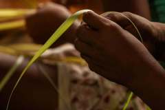 WhatsApp-Image-2026-02-23-at-10.25.02-PM