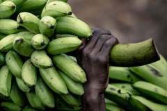 WhatsApp-Image-2026-02-23-at-10.25.03-PM-1