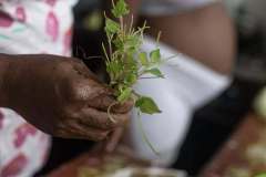 WhatsApp-Image-2026-02-23-at-10.25.03-PM-5