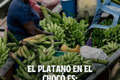 WhatsApp-Image-2026-02-23-at-10.25.04-PM-4