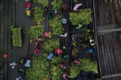 WhatsApp-Image-2026-02-23-at-10.25.04-PM-8