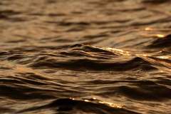 WhatsApp-Image-2026-02-23-at-10.25.05-PM-8