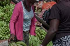 WhatsApp-Image-2026-02-23-at-10.25.05-PM