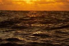 WhatsApp-Image-2026-02-23-at-10.25.06-PM