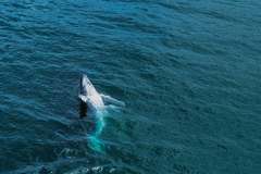 WhatsApp-Image-2026-02-23-at-10.25.08-PM-8