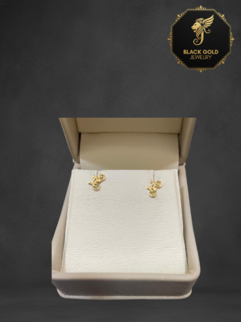 Kilimanjaro Trail earrings