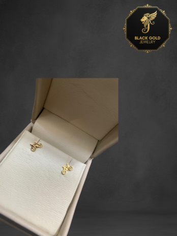 Kilimanjaro Trail earrings